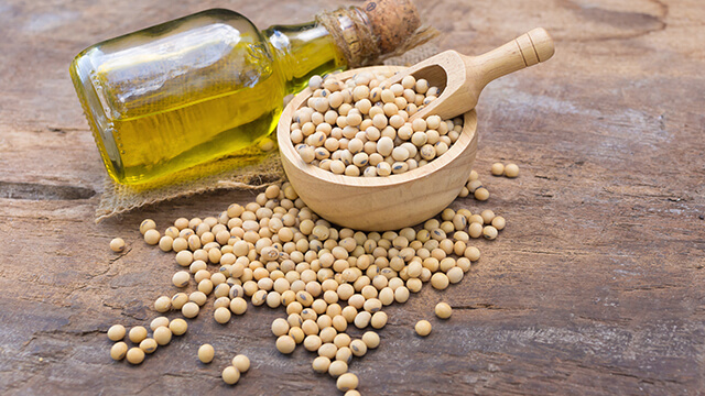 Soybean seed and soybean oil bottle-smaller