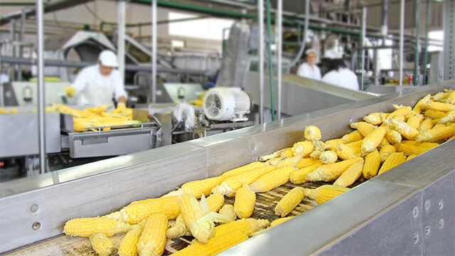 Corn cob production line
