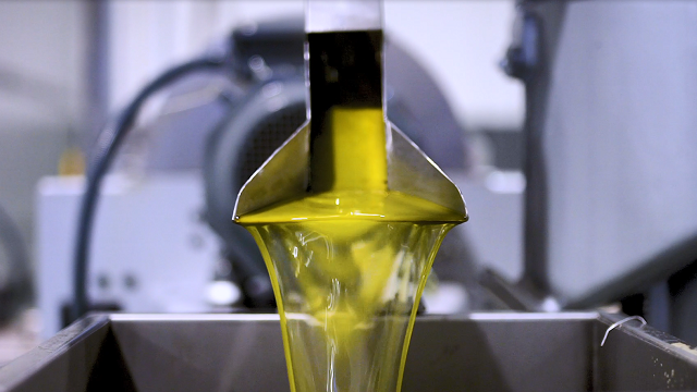 Sigma 6 Fabricadouro Case story olive oil 640x360