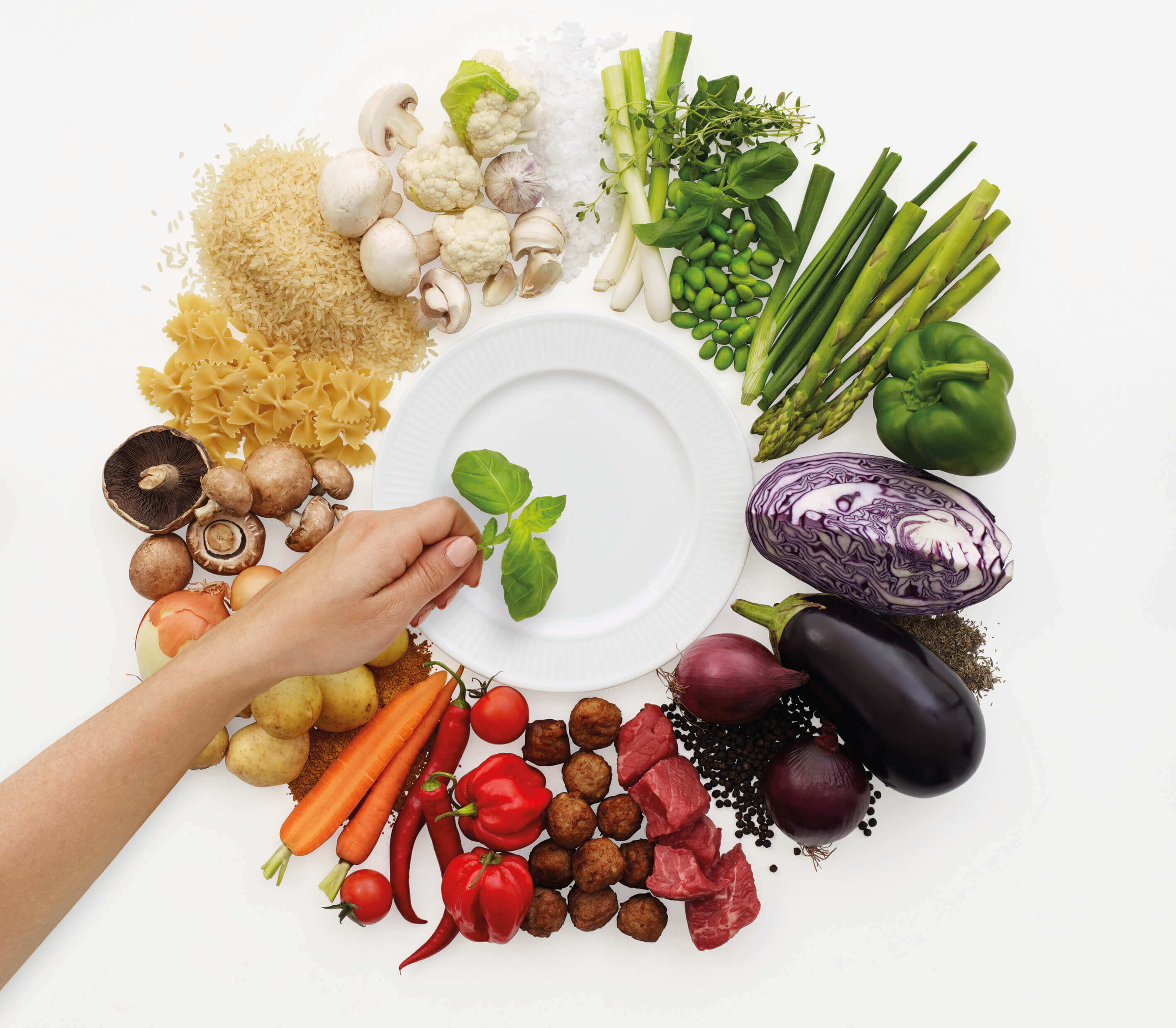 Food Logic Campaign Image