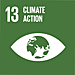 E_SDG goals_icons-individual13_75x75.png